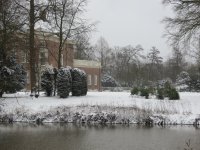 IMG_8401.jpg