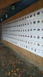 IMG_20200930_1528190.jpg