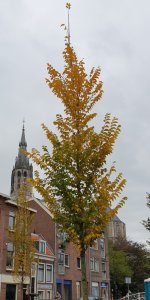 L2.jpg
