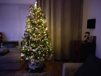 IMG_20211208_183147_028.jpg