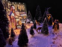 IMG_20211220_220617.jpg