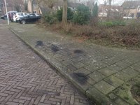 IMG_20220101_121438.jpg