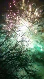 Screenshot_20220111-123836_Gallery.jpg