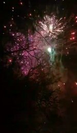 Screenshot_20220111-123657_Gallery.jpg
