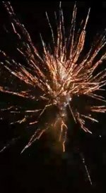 Screenshot_20220111-130925_Gallery.jpg