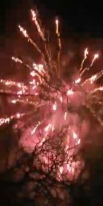 Screenshot_20220111-131029_Gallery.jpg
