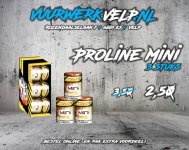 Juli_2022_ProlineMini.jpg