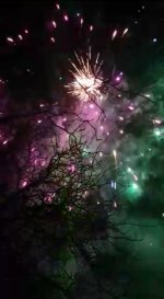 Screenshot_20220111-123452_Gallery.jpg