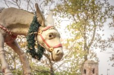 winter Efteling-002-211106.jpg