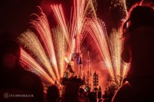 DisneyVWK-10.jpg