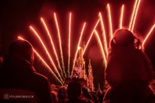 DisneyVWK-1.jpg