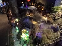 IMG20221116103437.jpg