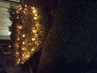 IMG_20221119_181600751.jpg