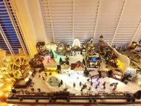 IMG_20221122_164155.jpg