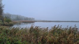 20221120_085741.jpg