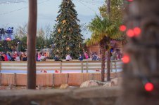 Toverland-Winter-Feelings-012- 20221126.jpg
