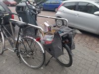 IMG_20221203_093317.jpg