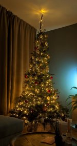 Kerstboom woonkamer.MP.jpg