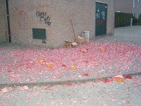 SNC13374.jpg