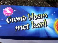 2011 Grondbloem met knal.jpg