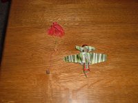 28 Dec 038.jpg