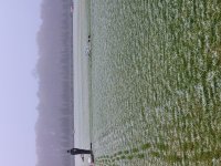 20221210_151705.jpg