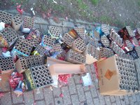 Day-after 010.jpg