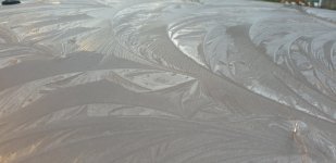 Screenshot_20221219-192240_Gallery.jpg