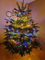 Kerstboom 2022b.jpg