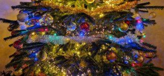 Kerstboom snede 2022.jpg