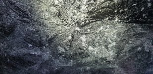 Screenshot_20221219-192354_Gallery.jpg