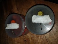 20221004_213556.jpg