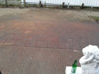 IMG_5100.JPG