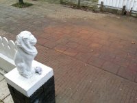 IMG_5106.JPG