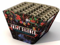 Enjoy Silence.jpg
