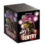 SENTRY.jpg SENTRY.jpg