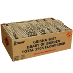 1667-BEAST-OF-BURDEN V2.png 1667-BEAST-OF-BURDEN V2.png