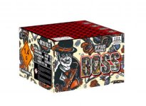 ER-100-30-2 Boss 3D_400x400.jpg