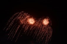 DSC_7189.jpg