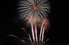 DSC_7279.jpg