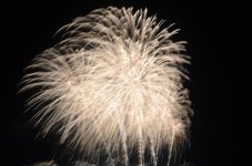 DSC_7291.jpg