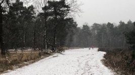 IMG_9015.jpeg