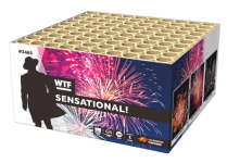 Sensational.PNG