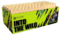 Into the Wild.jpg Into the Wild.jpg