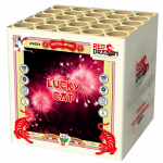 lucky cat.PNG