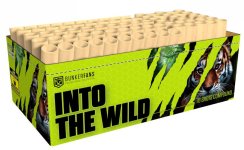 Into the Wild.JPG Into the Wild.JPG