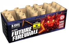 Future Firewall.JPG