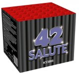 Salute 42.JPG