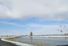IMG_6837.jpg