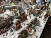 IMG_9335.jpg
